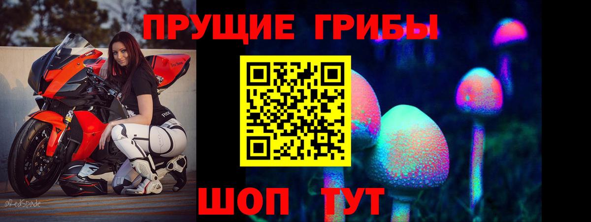 Галлюциногенные грибы Psilocybine cubensis  Вход с VPN  Великий Новгород 