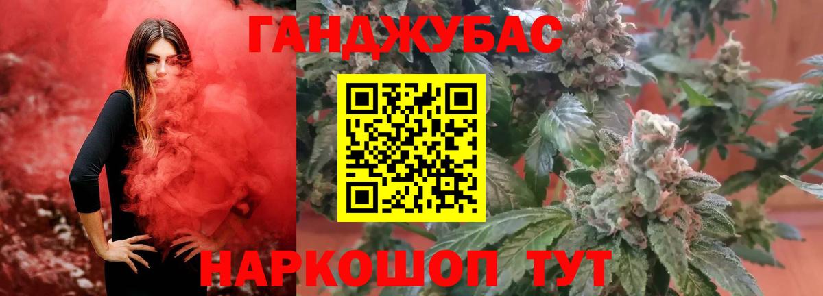 Бошки Шишки планчик Великий Новгород